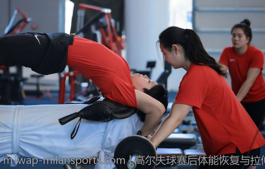 羽毛球运动的国际赛事体系及报名指南