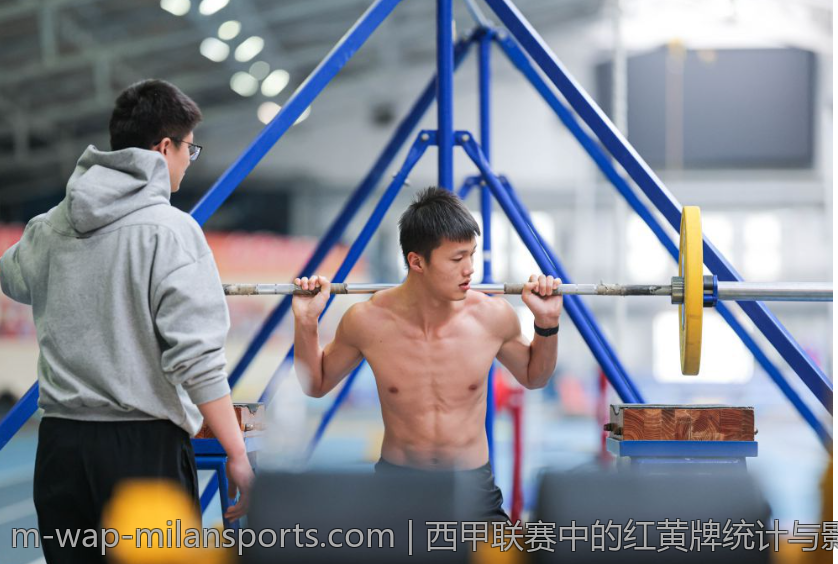 西甲联赛中的红黄牌统计与影响分析