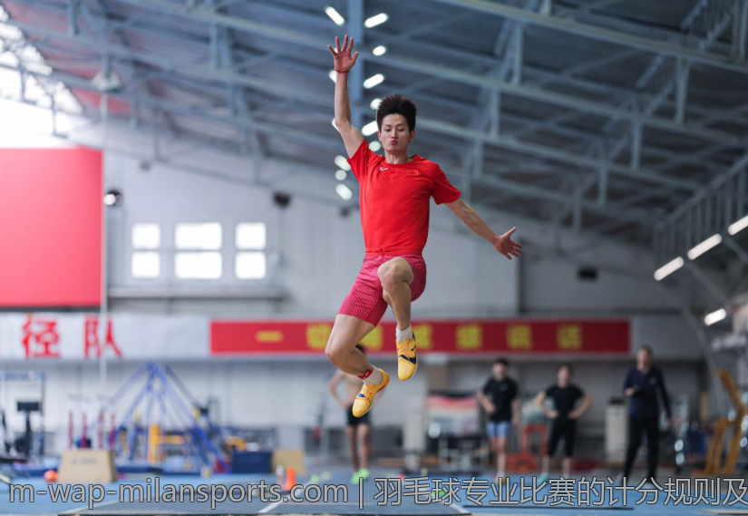 羽毛球专业比赛的计分规则及案例分析